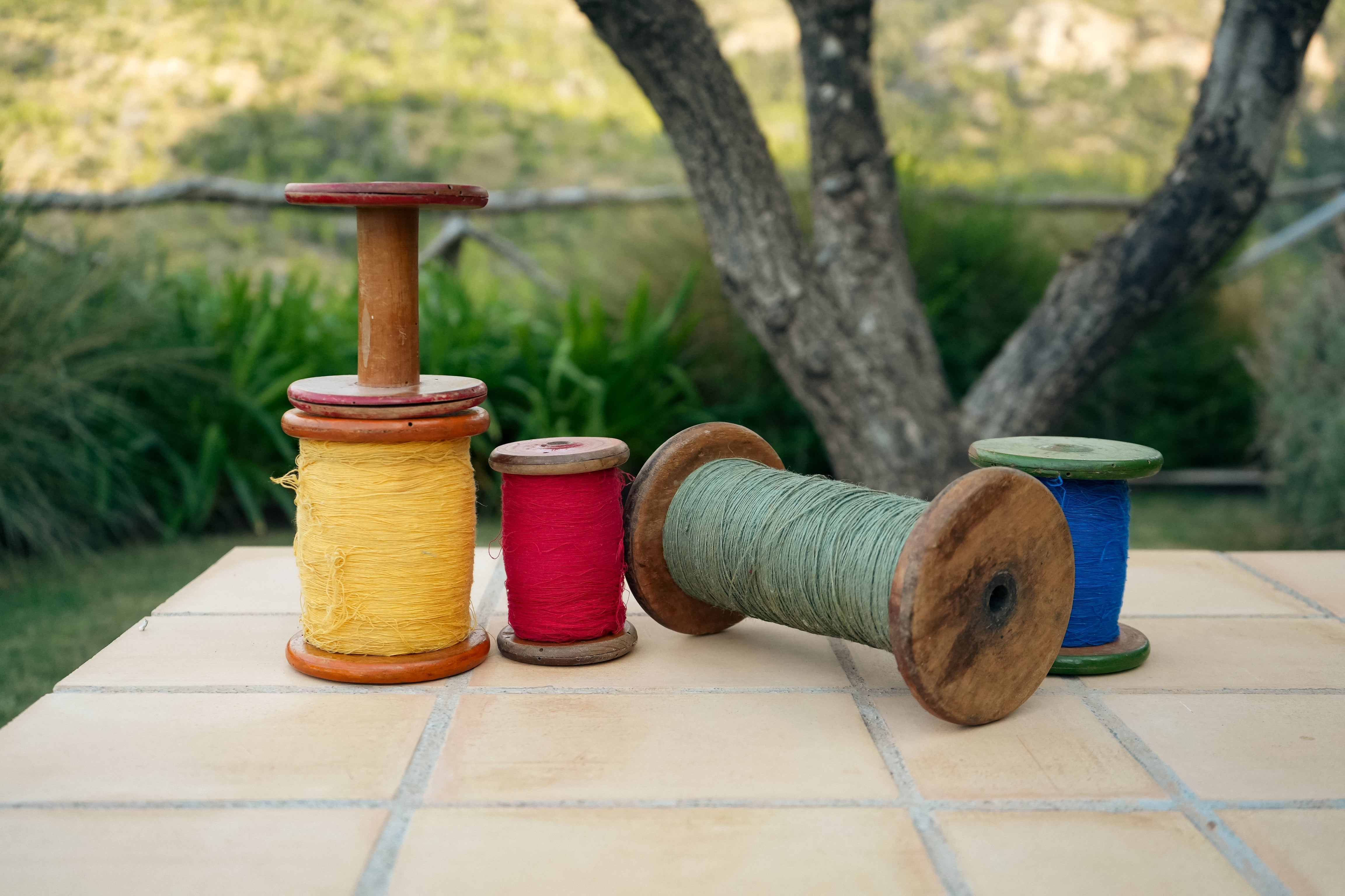 Algodón orgánico: la revolución silenciosa en la moda sostenible